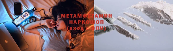ПСИЛОЦИБИНОВЫЕ ГРИБЫ Александровское