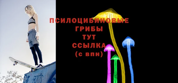 ПСИЛОЦИБИНОВЫЕ ГРИБЫ Александровское