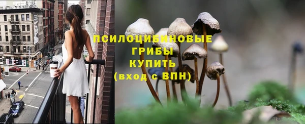 ПСИЛОЦИБИНОВЫЕ ГРИБЫ Александровское