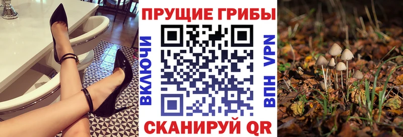 hydra ONION  Электросталь  Псилоцибиновые грибы Cubensis  где купить наркотик 