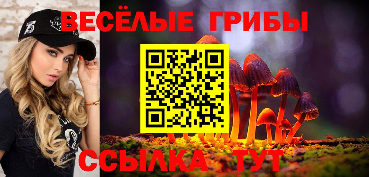 Галлюциногенные грибы Psilocybine cubensis  Электросталь 