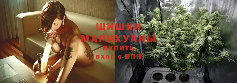 купить наркотики сайты  Электросталь  Каннабис OG Kush 